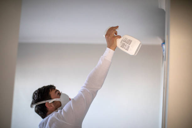 Best Mold Remediation  in Millbrae, CA