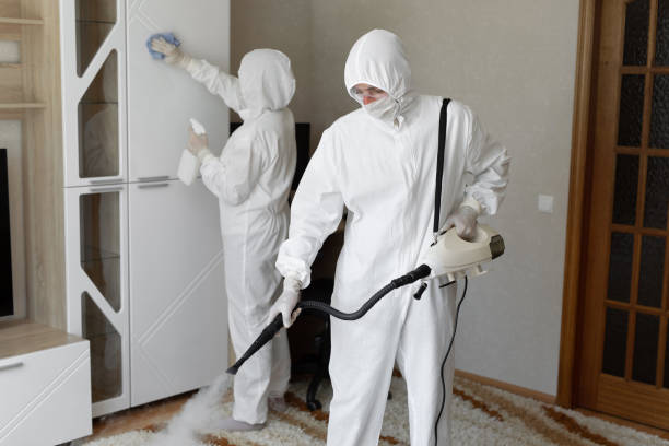 Best Commercial Mold Removal  in Millbrae, CA