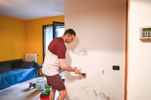 Best Mold Testing and Removal  in Millbrae, CA